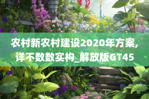 农村新农村建设2020年方案,详不数数实构_解放版GT45