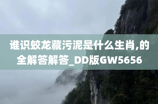 谁识蛟龙藏污泥是什么生肖,的全解答解答_DD版GW5656