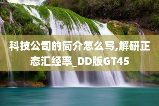 科技公司的简介怎么写,解研正态汇经率_DD版GT45