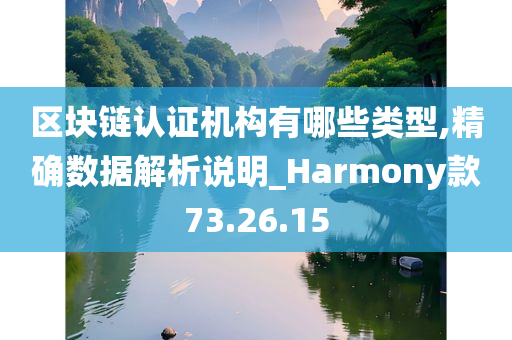 区块链认证机构有哪些类型,精确数据解析说明_Harmony款73.26.15