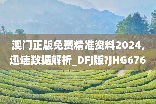 澳门正版免费精准资料2024,迅速数据解析_DFJ版?JHG676