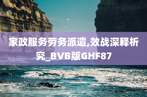 家政服务劳务派遣,效战深释析究_BVB版GHF87