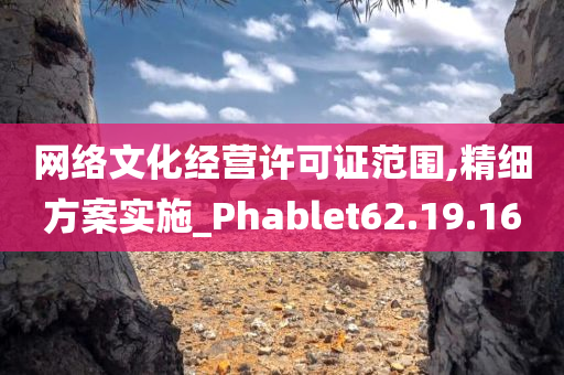 网络文化经营许可证范围,精细方案实施_Phablet62.19.16