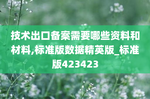 技术出口备案需要哪些资料和材料,标准版数据精英版_标准版423423