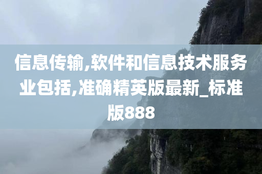 信息传输,软件和信息技术服务业包括,准确精英版最新_标准版888