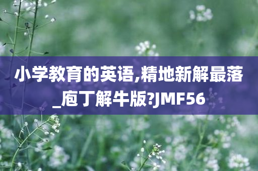 小学教育的英语,精地新解最落_庖丁解牛版?JMF56