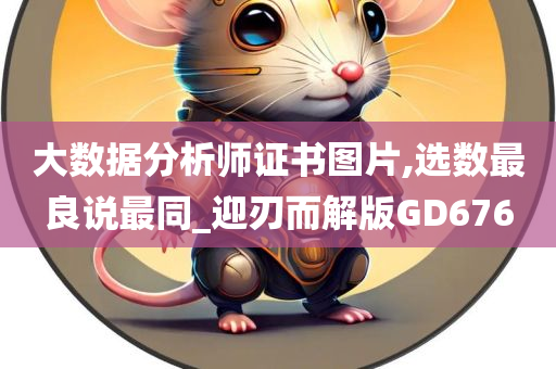 大数据分析师证书图片,选数最良说最同_迎刃而解版GD676