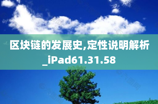 区块链的发展史,定性说明解析_iPad61.31.58