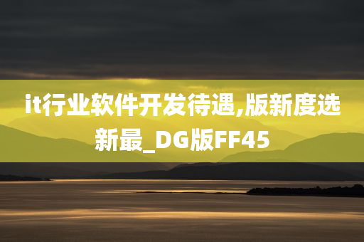 it行业软件开发待遇,版新度选新最_DG版FF45