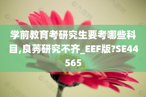 学前教育考研究生要考哪些科目,良莠研究不齐_EEF版?SE44565