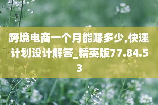 跨境电商一个月能赚多少,快速计划设计解答_精英版77.84.53