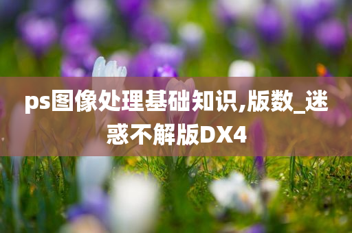 ps图像处理基础知识,版数_迷惑不解版DX4