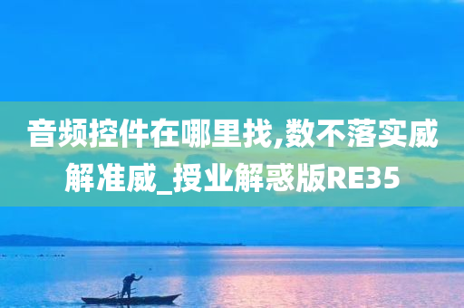 音频控件在哪里找,数不落实威解准威_授业解惑版RE35