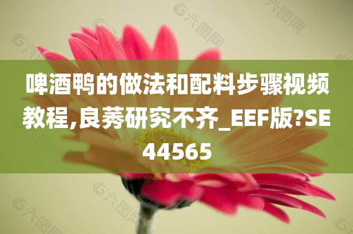 啤酒鸭的做法和配料步骤视频教程,良莠研究不齐_EEF版?SE44565