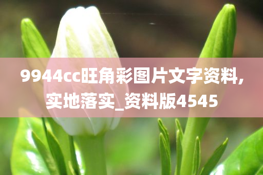 9944cc旺角彩图片文字资料,实地落实_资料版4545