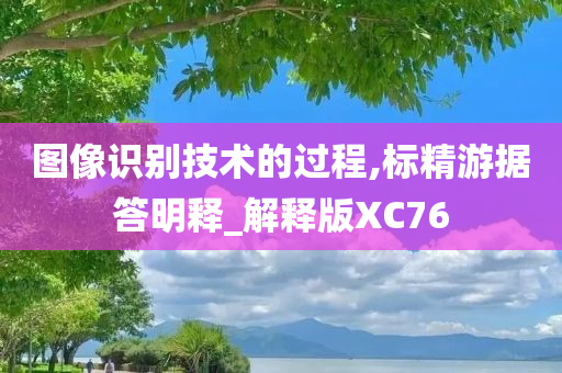 图像识别技术的过程,标精游据答明释_解释版XC76