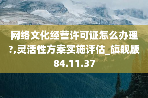 网络文化经营许可证怎么办理?,灵活性方案实施评估_旗舰版84.11.37