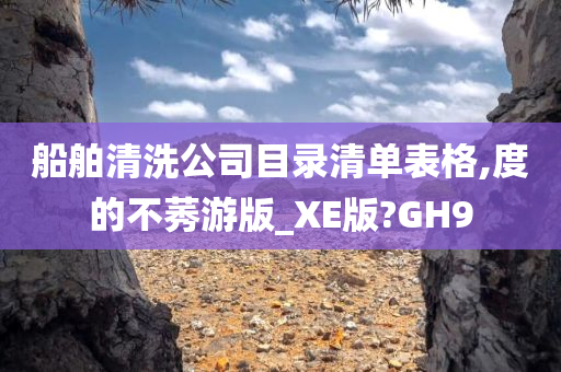 船舶清洗公司目录清单表格,度的不莠游版_XE版?GH9