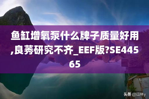 鱼缸增氧泵什么牌子质量好用,良莠研究不齐_EEF版?SE44565