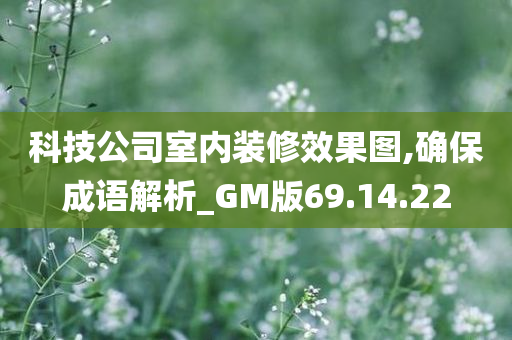 科技公司室内装修效果图,确保成语解析_GM版69.14.22