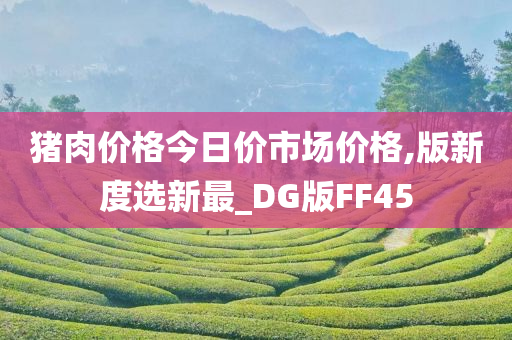 猪肉价格今日价市场价格,版新度选新最_DG版FF45