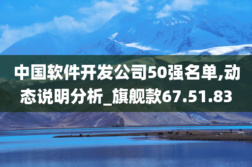 中国软件开发公司50强名单,动态说明分析_旗舰款67.51.83