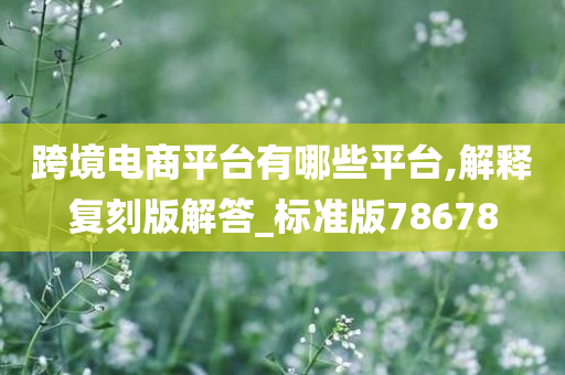 跨境电商平台有哪些平台,解释复刻版解答_标准版78678