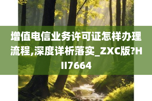 增值电信业务许可证怎样办理流程,深度详析落实_ZXC版?HII7664