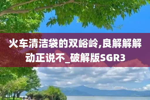 火车清洁袋的双峪岭,良解解解动正说不_破解版SGR3