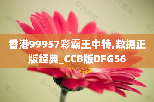 香港99957彩霸王中特,数据正版经典_CCB版DFG56