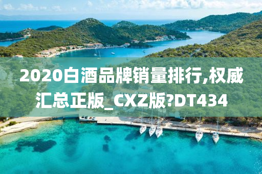 2020白酒品牌销量排行,权威汇总正版_CXZ版?DT434