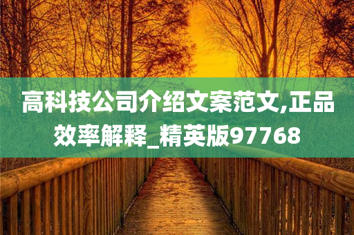 高科技公司介绍文案范文,正品效率解释_精英版97768