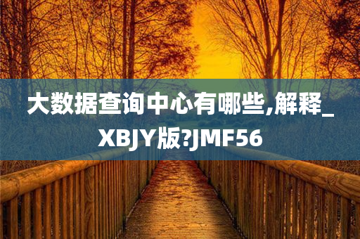 大数据查询中心有哪些,解释_XBJY版?JMF56