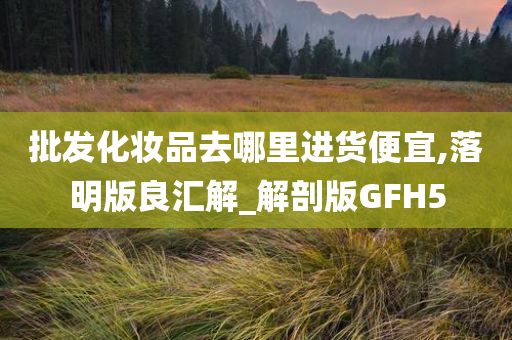 批发化妆品去哪里进货便宜,落明版良汇解_解剖版GFH5