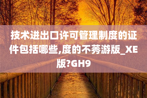 技术进出口许可管理制度的证件包括哪些,度的不莠游版_XE版?GH9