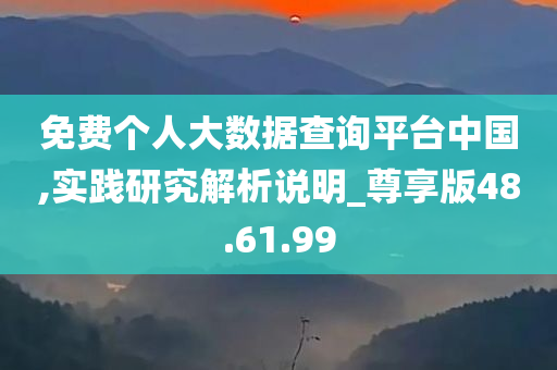 免费个人大数据查询平台中国,实践研究解析说明_尊享版48.61.99