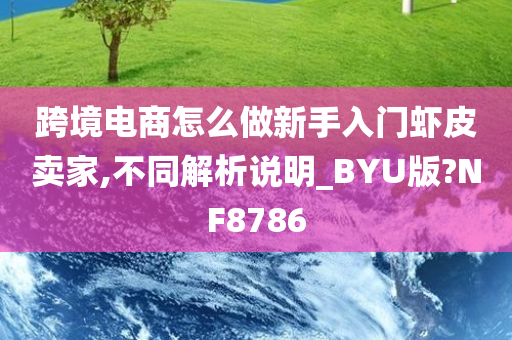 跨境电商怎么做新手入门虾皮卖家,不同解析说明_BYU版?NF8786