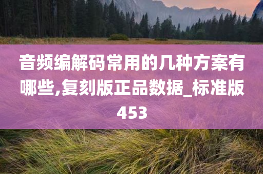 音频编解码常用的几种方案有哪些,复刻版正品数据_标准版453