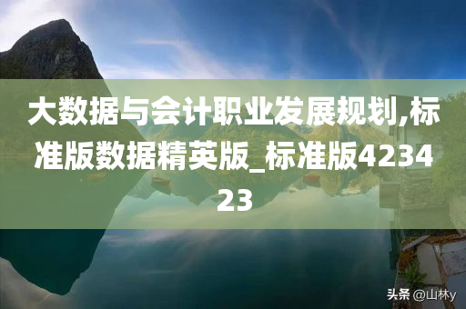 大数据与会计职业发展规划,标准版数据精英版_标准版423423