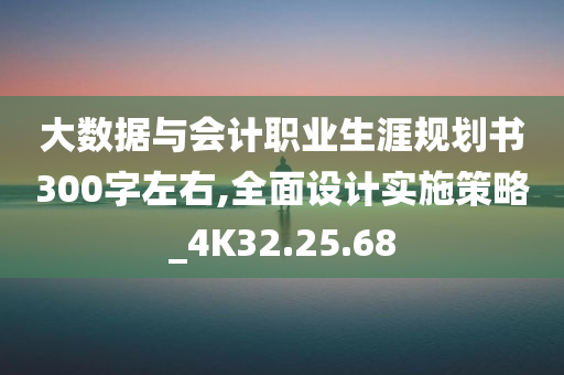 大数据与会计职业生涯规划书300字左右,全面设计实施策略_4K32.25.68