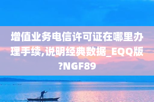 增值业务电信许可证在哪里办理手续,说明经典数据_EQQ版?NGF89