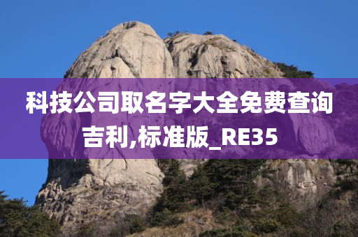 科技公司取名字大全免费查询吉利,标准版_RE35