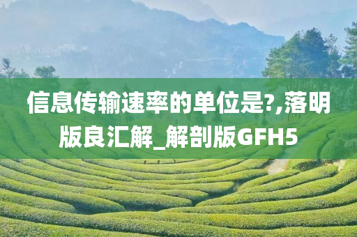 信息传输速率的单位是?,落明版良汇解_解剖版GFH5