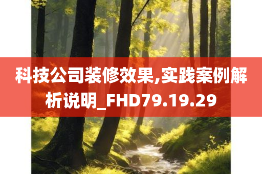 科技公司装修效果,实践案例解析说明_FHD79.19.29