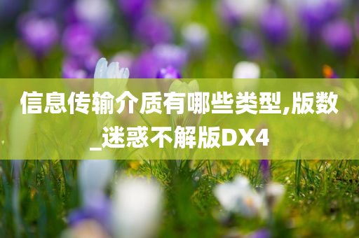 信息传输介质有哪些类型,版数_迷惑不解版DX4