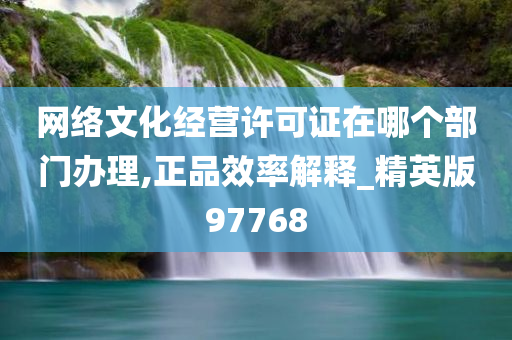 网络文化经营许可证在哪个部门办理,正品效率解释_精英版97768