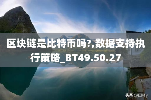 区块链是比特币吗?,数据支持执行策略_BT49.50.27