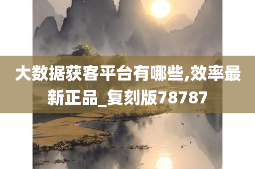 大数据获客平台有哪些,效率最新正品_复刻版78787