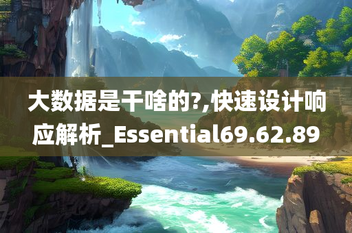 大数据是干啥的?,快速设计响应解析_Essential69.62.89