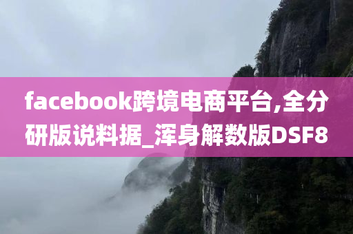 facebook跨境电商平台,全分研版说料据_浑身解数版DSF8